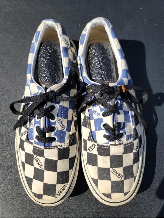 Vans Other - Vans Era Big Check Checkerboard Skater Indie Sneaker Men 8